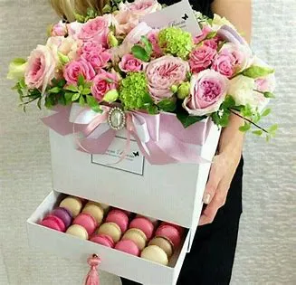 Digital Creator Toolkit