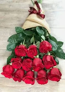 Student Essentials Pack